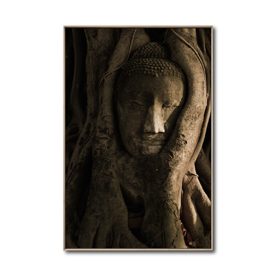 Cuadro Decorativo - Zen 055 - Buda entre Raices