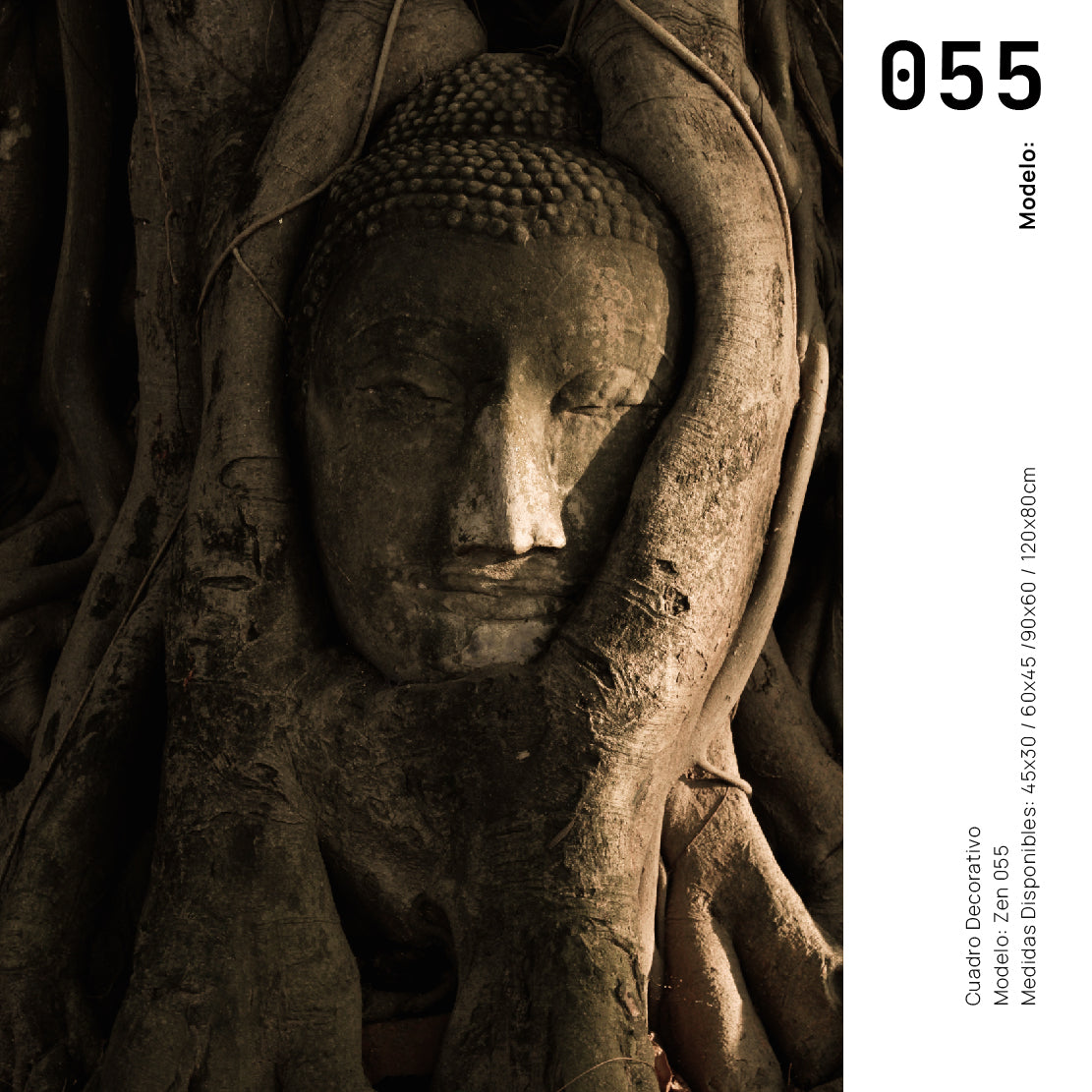 Cuadro Decorativo - Zen 055 - Buda entre Raices