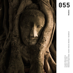 Cuadro Decorativo - Zen 055 - Buda entre Raices