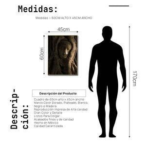 Cuadro Decorativo - Zen 055 - Buda entre Raices