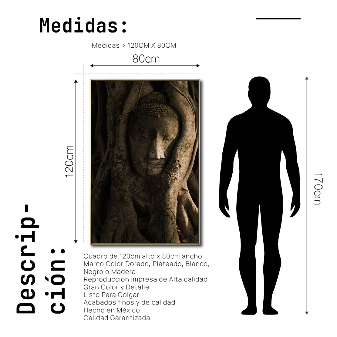 Cuadro Decorativo - Zen 055 - Buda entre Raices