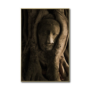 Cuadro Decorativo - Zen 055 - Buda entre Raices
