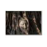 Cargar imagen en el visor de la galería, Cuadro Decorativo - Zen 056 - Buda en un Arbol entre Raíces
