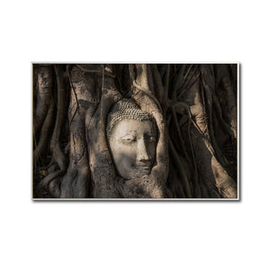 Cuadro Decorativo - Zen 056 - Buda en un Arbol entre Raíces