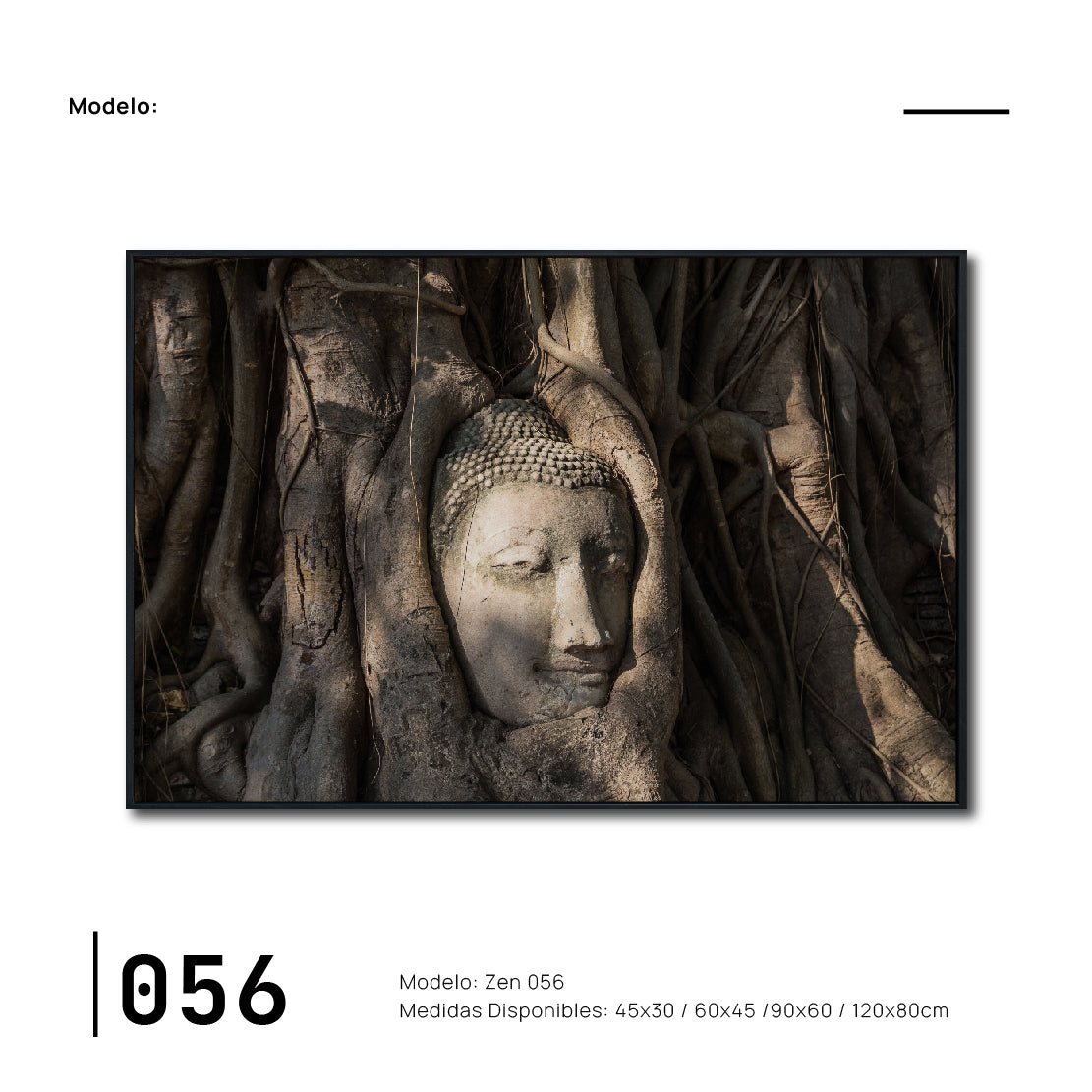 Cuadro Decorativo - Zen 056 - Buda en un Arbol entre Raíces