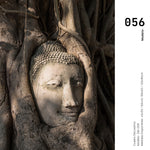 Cargar imagen en el visor de la galería, Cuadro Decorativo - Zen 056 - Buda en un Arbol entre Raíces
