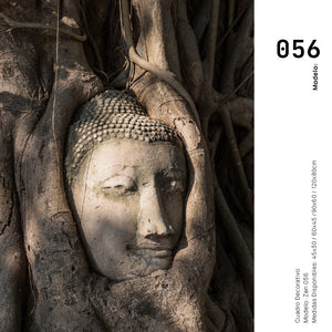 Cuadro Decorativo - Zen 056 - Buda en un Arbol entre Raíces