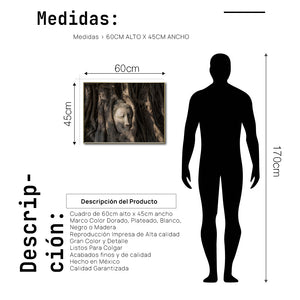 Cuadro Decorativo - Zen 056 - Buda en un Arbol entre Raíces