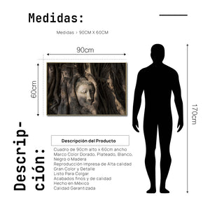 Cuadro Decorativo - Zen 056 - Buda en un Arbol entre Raíces
