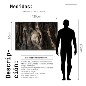 Cuadro Decorativo - Zen 056 - Buda en un Arbol entre Raíces