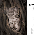 Cargar imagen en el visor de la galería, Cuadro Decorativo - Zen 057 - Buda tallado entre Raíces
