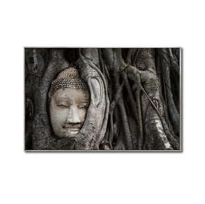 Cuadro Decorativo - Zen 058 - Buda entre Raices