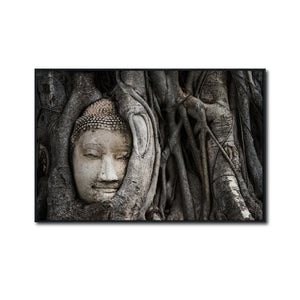 Cuadro Decorativo - Zen 058 - Buda entre Raices