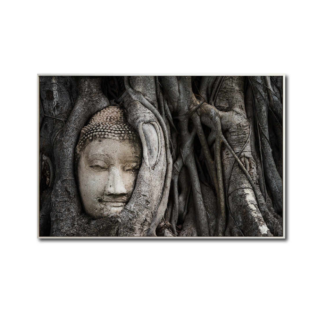 Cuadro Decorativo - Zen 058 - Buda entre Raices