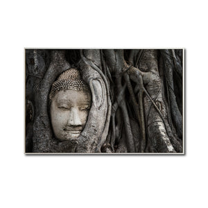 Cuadro Decorativo - Zen 058 - Buda entre Raices