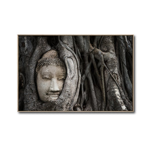 Cuadro Decorativo - Zen 058 - Buda entre Raices