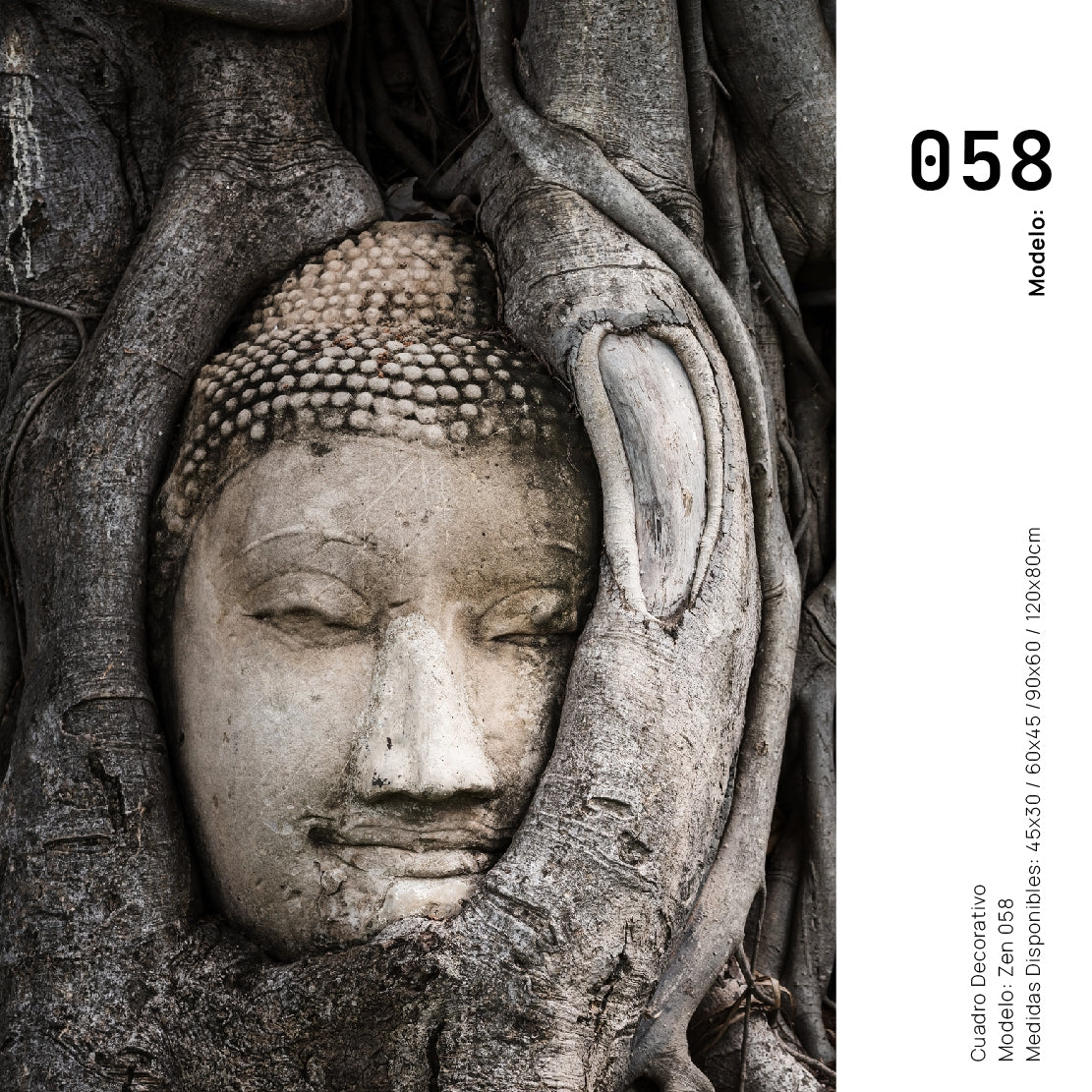Cuadro Decorativo - Zen 058 - Buda entre Raices