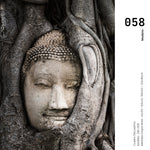 Cargar imagen en el visor de la galería, Cuadro Decorativo - Zen 058 - Buda entre Raices

