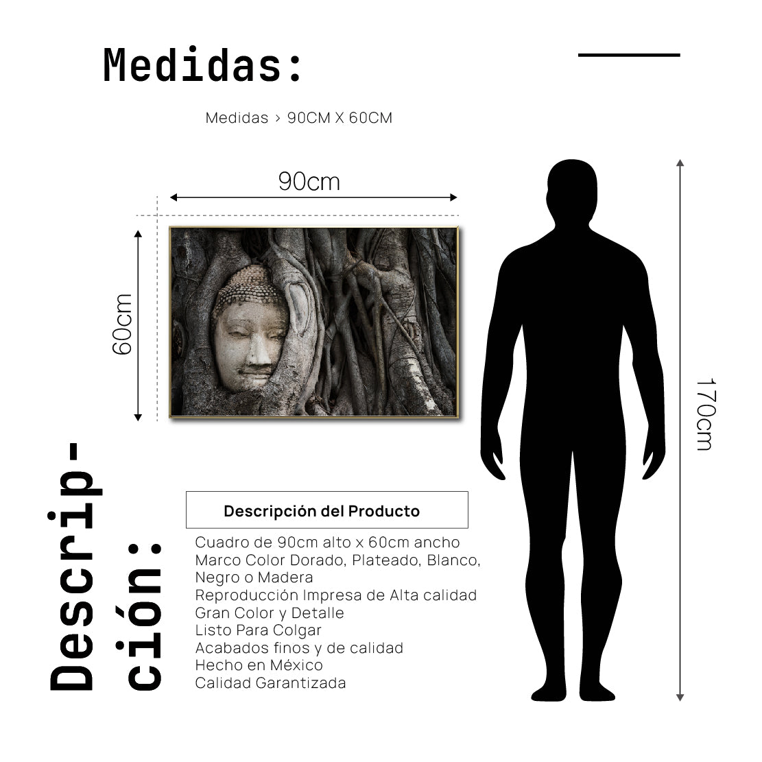Cuadro Decorativo - Zen 058 - Buda entre Raices