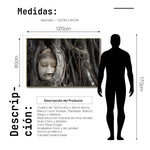 Cargar imagen en el visor de la galería, Cuadro Decorativo - Zen 058 - Buda entre Raices
