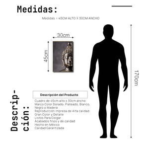 Cuadro Decorativo - Zen 061 - Buda en Meditación