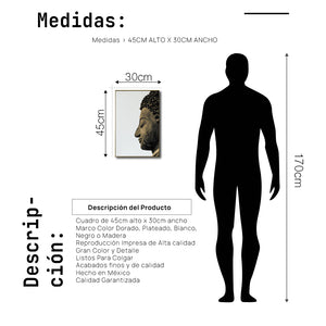 Cuadro Decorativo - Zen 062 -