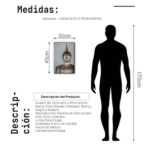 Cuadro Decorativo - Zen 063 - Estatua de Buda