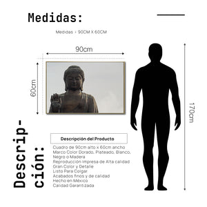 Cuadro Decorativo - Zen 064 - Buda de Piedra