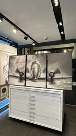 Cargar imagen en el visor de la galería, Set de 3 Cuadros Decorativos Vehículos 023 - Avión
