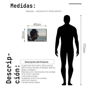 Cuadro Decorativo - Zen 065 - Buda - Fondo Paisajista