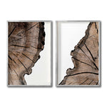 Cargar imagen en el visor de la galería, Set 2 Cuadros Decorativos Abstracto Negro Arena 069 - Cortezas de Árbol Estilo Boho
