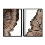 Cargar imagen en el visor de la galería, Set 2 Cuadros Decorativos Abstracto Negro Arena 069 - Cortezas de Árbol Estilo Boho
