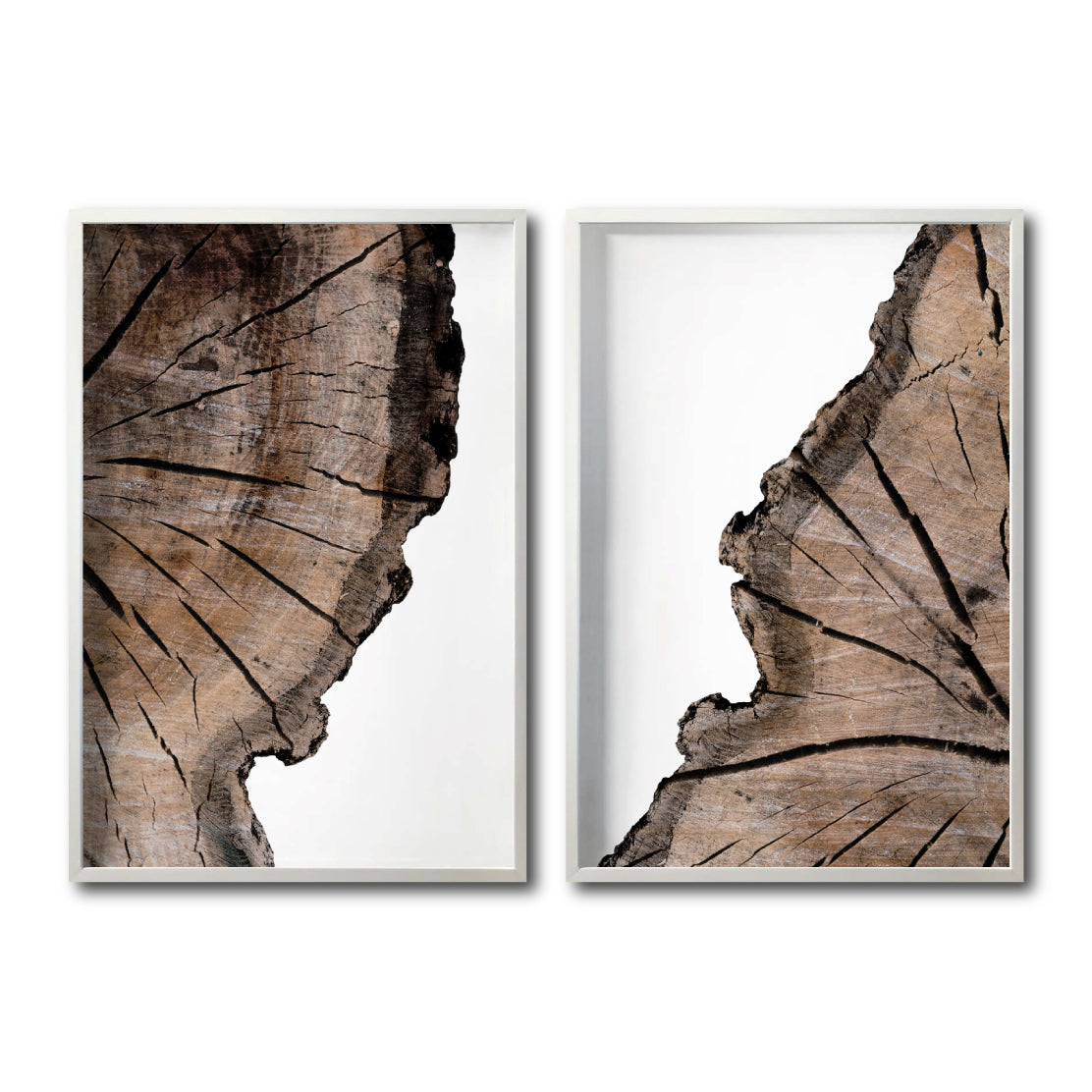 Set Cuadros Decorativos Abstracto Negro Arena 069 - Cortezas de Árbol Estilo Boho -Para Recámara