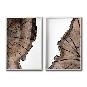 Set Cuadros Decorativos Abstracto Negro Arena 069 - Cortezas de Árbol Estilo Boho -Para Recámara