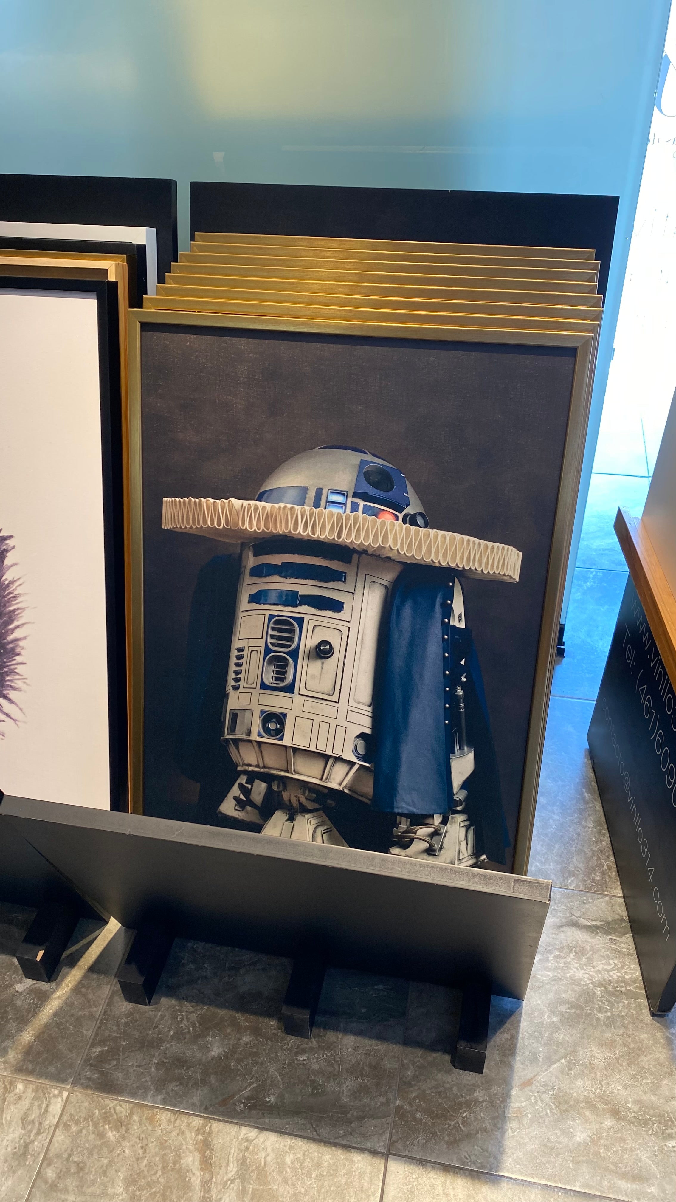 Cuadro Decorativo Personajes Época 005 Star Wars R2D2