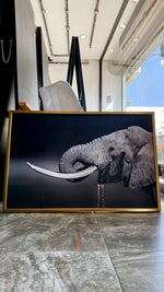 Cargar imagen en el visor de la galería, Cuadro Decorativo Fauna 003 -  Elefante Blanco y Negro
