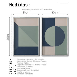 Set 2 Cuadros Decorativos Abstract Colors 115 - Para Credenza