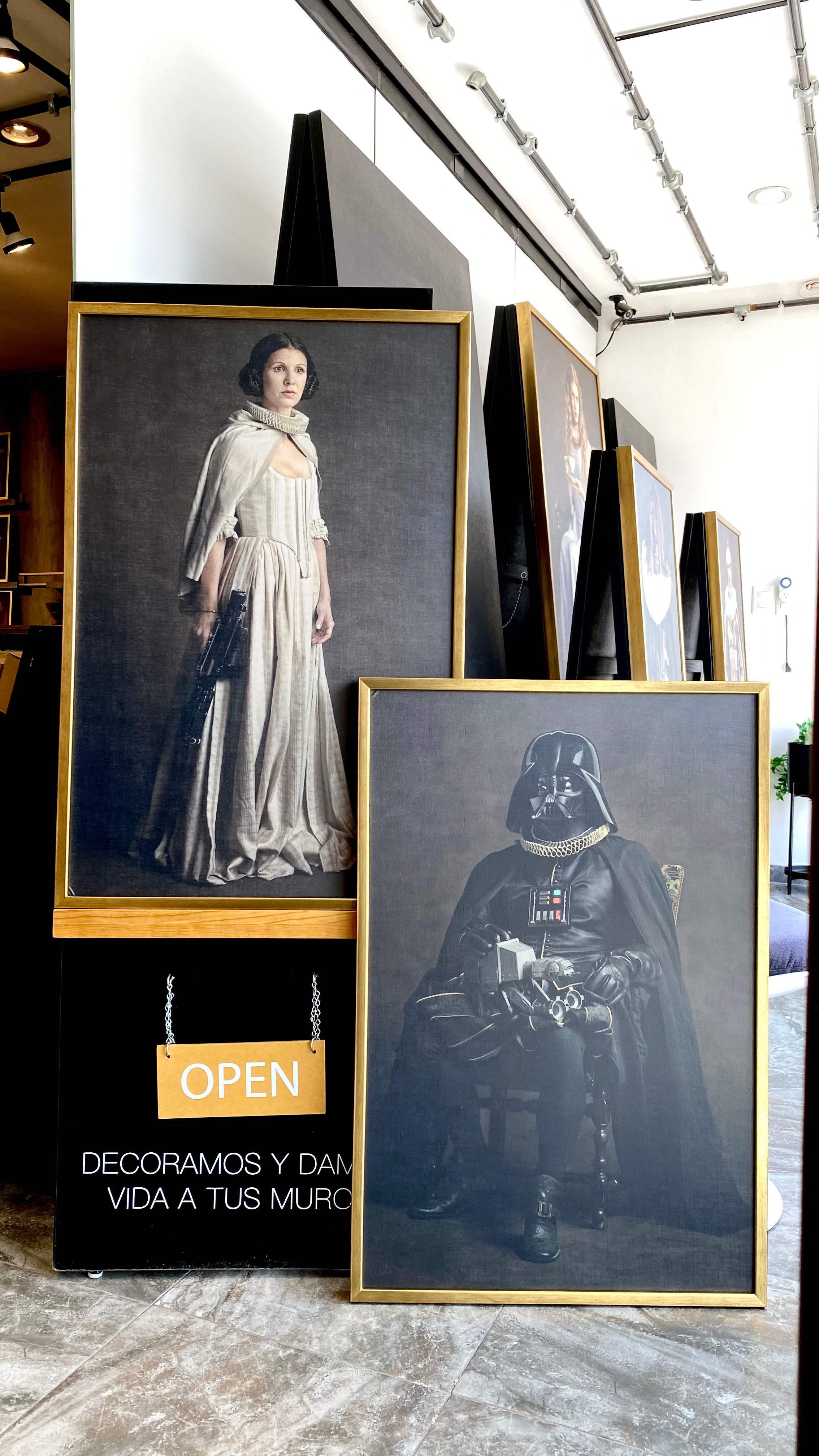 Cuadro Decorativo Personajes Época 002 Star Wars Princesa Leia