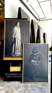 Cuadro Decorativo Personajes Época 002 Star Wars Princesa Leia