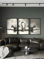Cargar imagen en el visor de la galería, Set de 3 Cuadros Decorativos Vehículos 023 - Avión
