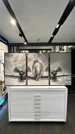 Cargar imagen en el visor de la galería, Set de 3 Cuadros Decorativos Vehículos 023 - Avión
