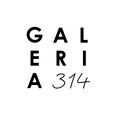 Galeria 314