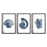 Cargar imagen en el visor de la galería, Set Cuadros Decorativos Marino 002 Conchas y Caracoles
