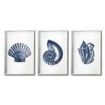 Cargar imagen en el visor de la galería, Set Cuadros Decorativos Marino 002 Conchas y Caracoles
