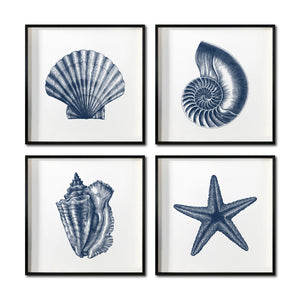 Set Cuadros Decorativos Marino  004 Caracol, Concha y Estrella de Mar