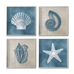 Cargar imagen en el visor de la galería, Set Cuadros Decorativos Marino  003 Concha, Caracol y Estrella de Mar
