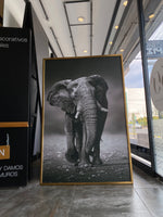 Cargar imagen en el visor de la galería, Cuadro Decorativo Fauna 001 - Elefante
