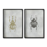 Cargar imagen en el visor de la galería, Set 2 Cuadros Decorativos Insectos 001 Escarabajos
