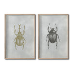 Cargar imagen en el visor de la galería, Set 2 Cuadros Decorativos Insectos 001 Escarabajos
