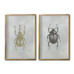 Cargar imagen en el visor de la galería, Compra de cuadros decorativos  insectos para tu sala en Ciudad de México. Galería 314. Escarabajos.
